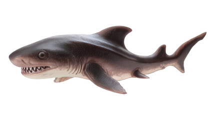 Fototapeta premium Unique Cookiecutter Shark Isolated Transparent Background