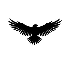 Obraz premium eagle vector illustration