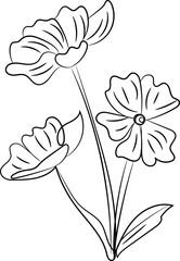 Elegant Line Art Drawing of Three Simple Flowers
