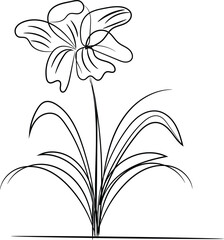 Elegant Line Drawing of a Single Flower with Grass