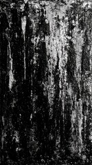 Abstract Texture in Black and White Showing Weathered Surface and Old Wall with Grunge Details