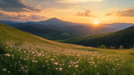 Fototapeta premium Breathtaking Sunset Over a Lush Meadow Filled With Wildflowers and Distant Mountains in a Serene Landscape, Capturing the Beauty of Nature in the Golden Hour