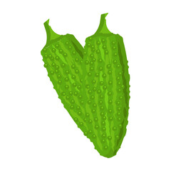 svg illustration of asian tropical fruits