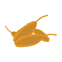svg illustration of asian tropical fruits