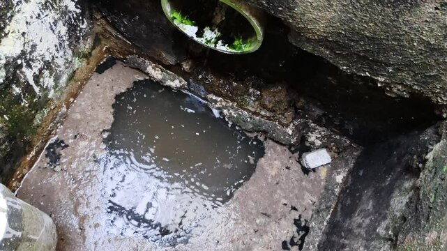 A scene of a polluted outdoor sewer with stagnant and dirty water, surrounded by algae and garbage.