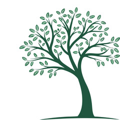 Obraz premium Simple Tree Drawing with Branches and Leaves