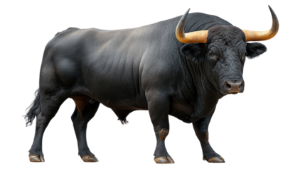 Majestic Bull: A powerful bull, with a robust build and striking horns, stands prominently, embodying strength and resilience. Its dark coat glistens under the light.