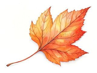 Hand-painted orange leaf with subtle texture, watercolor style, on clean white background.