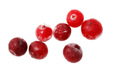 A bunch of red berries are shown on a white background