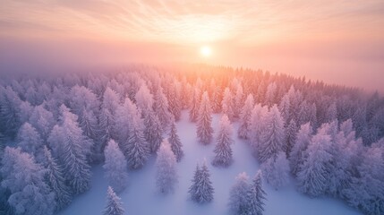 Winter Sunrise Illuminating a Snow-Covered Forest With Trees Reflecting Soft Pink and Orange Hues in the Sky