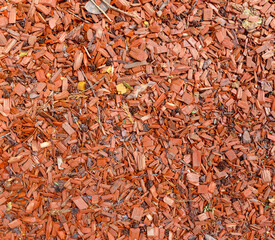 A pile of red leaves and twigs