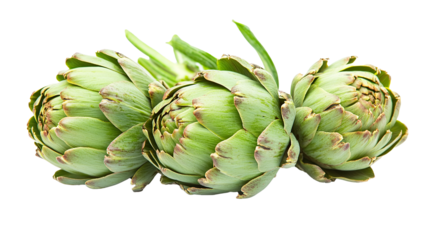 Artichoke Isolated in White background, Full size Vegetable