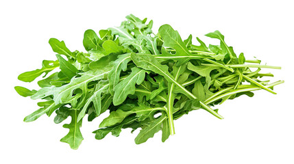 Obraz premium Arugula/Rocket Isolated in White background, Full size Vegetable
