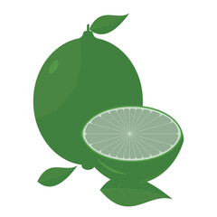  vector illustration of Asian tropical fruits