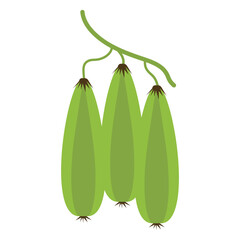  vector illustration of Asian tropical fruits