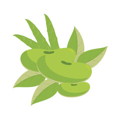  vector illustration of Asian tropical fruits