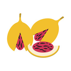  vector illustration of Asian tropical fruits