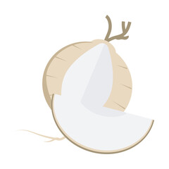  vector illustration of Asian tropical fruits