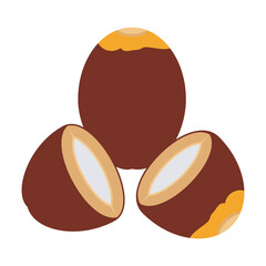  vector illustration of Asian tropical fruits