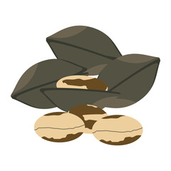  vector illustration of Asian tropical fruits