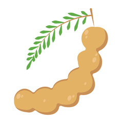  vector illustration of Asian tropical fruits