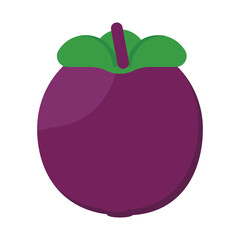  vector illustration of Asian tropical fruits