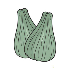  vector illustration of Asian tropical fruits