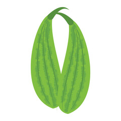  vector illustration of Asian tropical fruits