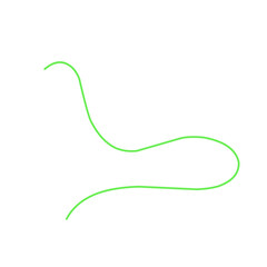 Green Thread Vector Illustration 