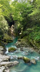 A serene landscape features a clear blue stream winding through lush greenery and rocky slopes. The vibrant foliage creates a peaceful atmosphere in a natural setting during midday