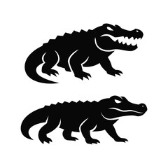 Fototapeta premium Crocodile Alligator Animal vector