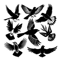 set of birds