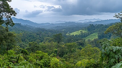 Tropical rainforest landscape with misty hills