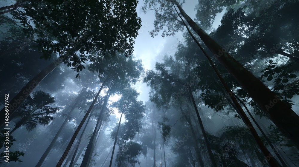 Poster tall treetops are gently lit by soft blue moonlight, while mist lingers between the layers of the ju