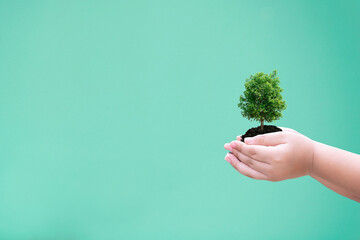Environmental ecology concept of trees in human hands