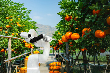 Agricultural industry with artificial intelligence robots concept