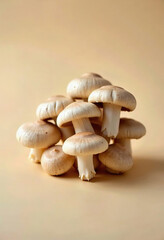 Fototapeta premium Artistic Arrangement: A Captivating Close-Up of Fresh Oyster Mushrooms Clustered Together, Their Light Beige and Soft Brown Tones Accentuated by Soft, Natural Lighting 