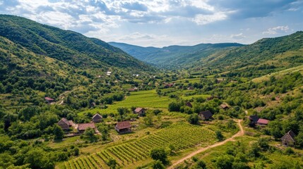 Fototapeta premium Vineyards and farmhouses in green hills and valleys