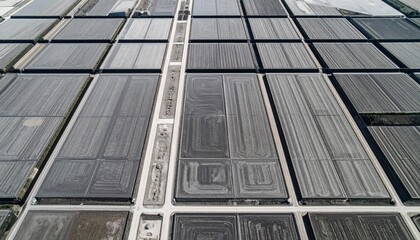 Aerial view of salt production fields coastal region landscape photography industrial environment overhead perspective geometric patterns