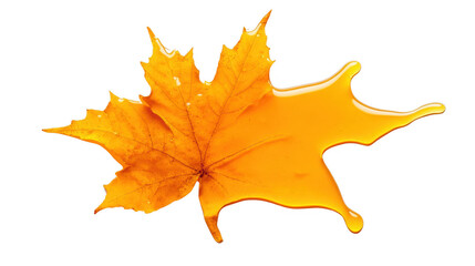 Fototapeta premium Yellow maple leaf with water droplets resting on a surface in natural light during autumn season