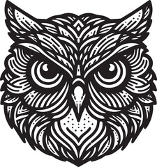 Obraz premium Owl Face