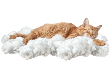 Ginger cat sleeping comfortably on a cloud pet dream cute feline rest on transparent background