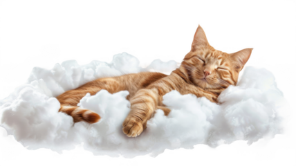 Orange tabby cat sleeping peacefully on a cloud bed cute pet animal on transparent background