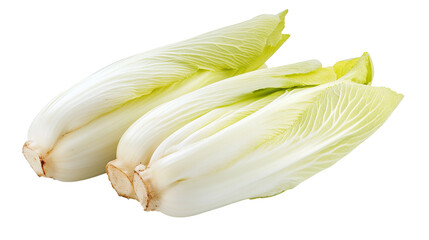 Endive Isolated in White background, Full size Vegetable 