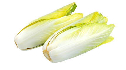 Endive Isolated in White background, Full size Vegetable 