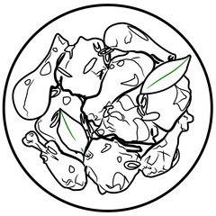 Adobo Asian Food