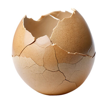 Cracked brown eggshell fragment macro food photography isolated on white background
