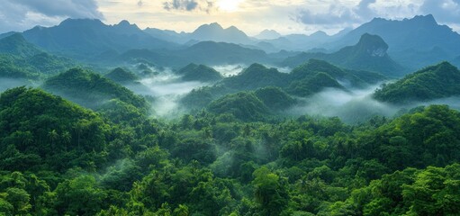 Obraz premium Misty Mountain Majesty: A Panoramic View of Lush Green Hills