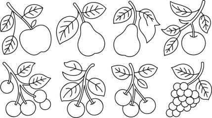 This title highlights the simple, outlined illustrations of various fruits, emphasizing their fresh and natural beauty in a minimalist style.