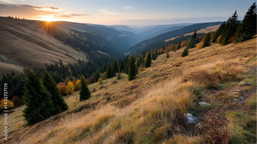 Poster experience a breathtaking view of layers of trees displaying peak autumn foliage under a warm sunset
